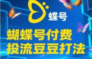 2025蝴蝶号付费投流豆豆打法，助新手快速掌握付费流量撬动自然流的核心玩法-云享网创