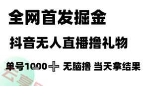 全网首发掘金抖音无人直播撸礼物，单号1k +无脑撸，当天拿结果【揭秘】-云享网创