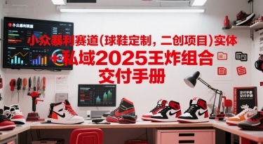小众暴利赛道(球鞋定制，二创项目)实体+私域2025王炸组合  交付手册-云享网创