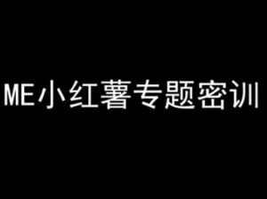 ME小红薯专题密训-小红书电商教程-云享网创