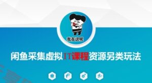 闲鱼采集虚拟IT课程资源另类玩法，干货满满-云享网创
