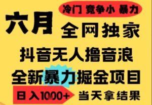 25年6月高爆抖音无人直播最新撸音浪掘金项目，小白可做，无脑日入1k+，门槛低可批量矩阵【揭秘】-云享网创