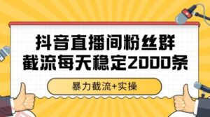 抖音直播间粉丝群暴力截流，一台电脑每天稳定2000条数据【揭秘】-云享网创