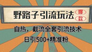 2024首发野路子引流玩法截流自热全平台打法，全自动引流【日引2000+精准客户】-云享网创