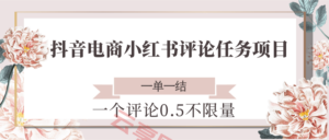 抖音电商小红书评论任务项目，一个评论0.5，一单一结 不限量-云享网创