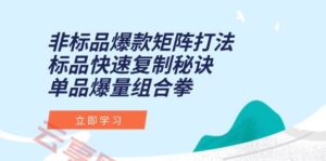 非标品爆款矩阵打法,标品快速复制秘诀,单品爆量组合拳-云享网创