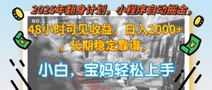 2025年翻身计划,小程序自动掘金48小时可见收益,日入2000+,长期稳定…-云享网创