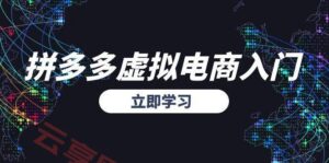 拼多多虚拟电商入门，精准选品方法论，无货源模式起盘技巧-云享网创