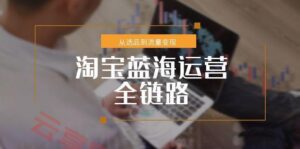 淘宝蓝海运营全链路，从选品到流量变现，小类目突围完整方案-云享网创