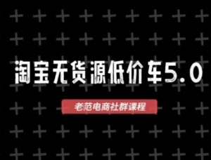 淘宝无货源2025VIP教程，​最新的淘宝无货源课程，1688代发，蓝海选品，零成本创业首选-云享网创