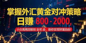 掌握外汇黄金对冲策略，日赚 800 – 2000，小众高回报创业机会，助你实…-云享网创