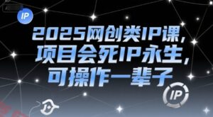 2025网创类IP课，项目会死IP永生，可操作一辈子-云享网创