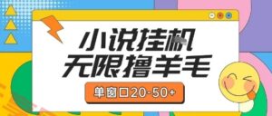 最新小说挂G自撸玩法本人实操单窗口20-50+可矩阵放大操作【揭秘】-云享网创