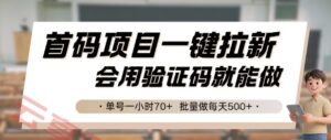 首码项目一键拉新，会用验证码就能做 单号一小时70+，批量做每天5张【揭秘】-云享网创