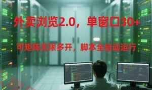 外卖浏览2.0，单窗口30+可矩阵无限多开，脚本全自动运行【揭秘】-云享网创