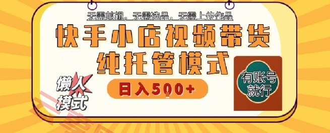 快手小店托管代运营，无需剪辑，无需选品，无需上传作品，全程无需操作，轻松月入5k+【揭秘】-云享网创