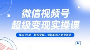 微信视频号超级变现实操课，每天1小时，轻松变现，宝妈职场人副业首选-云享网创