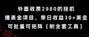 外面收费2980的挂G撸美金项目，单日收益30+美金，可批量可矩阵【揭秘】-云享网创