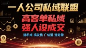 一人公司私域联盟,高客单私域,强人设成交,建私域 搞发售 广结盟 造势能-云享网创