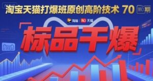 淘宝天猫打爆班原创高阶技术第70期：标品干爆-云享网创