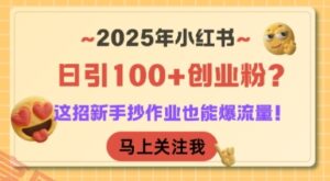 2025年小红书日引100+创业粉？这招新手抄作业也能爆流量！-云享网创