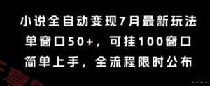 小说全自动变现7月玩法，单窗口50+，可挂100窗口，简单上手，全流程限时公布【揭秘】-云享网创