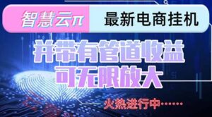 智慧云π电脑挂机单机每天收益300—500+ 并带有团队管道收益 可无限放大-云享网创