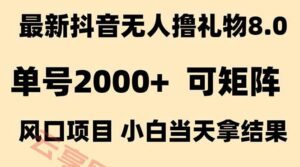 抖音无人撸礼物8.0玩法 全新风口   见效果快  全无人  单号当天产出2000+-云享网创