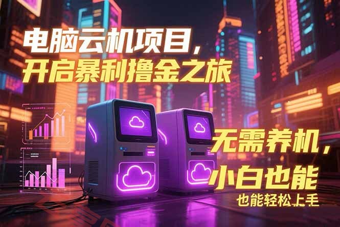 电脑云机项目 暴力撸金玩法，不需要养机 配置没有要求 单机100个窗口一…-云享网创
