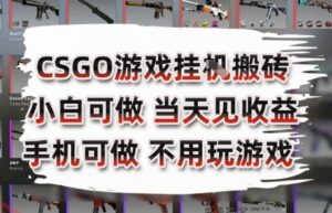 CSGO游戏挂G搬砖，小白纯手机即可操作，不用电脑打游戏，日入3张+，副业网创项目【揭秘】-云享网创