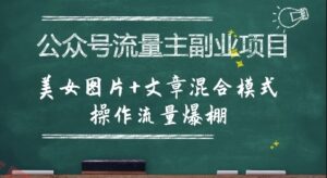 公众号流量主副业项目，美女图片+文章混合模式操作流量爆棚-云享网创
