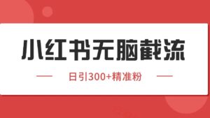 小红书截流同行客源，独家野路子获客玩法 日引200+暴力获客-云享网创