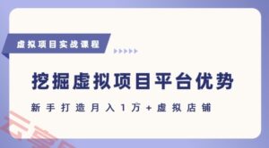 抓住虚拟项目各平台优势，新手轻松月入1W+(给出具体建议)-云享网创