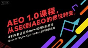 AEO 1.0 课程，从SEO到AE0的基命性转变，手把手教会你用AnswerEngineOptimization技术抢回流量-云享网创
