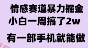 情感暴力掘金项目，新人操作一周挣了2W，长期稳定小白可做【揭秘】-云享网创