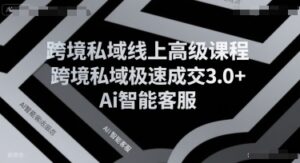 跨境私域线上高级课程，跨境私域极速成交3.0+Ai智能客服-云享网创