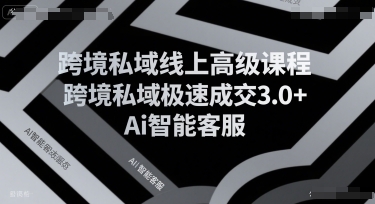 跨境私域线上高级课程，跨境私域极速成交3.0+Ai智能客服-云享网创