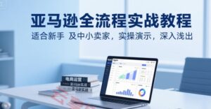 亚马逊全流程实战教程，适合新手及中小卖家，实操演示，深入浅出-云享网创