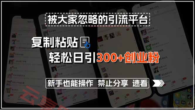 被大家忽略的引流平台，复制粘贴轻松日引300+创业粉，新手也能操作，禁…-云享网创