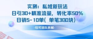 实测私域新玩法日引30加精准流量转化率50%日销5-10单每笔3张-云享网创