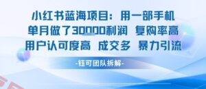 小红书蓝海项目，一部手机单月做了3W利润，小白也能月入过1W用户认可度高成交多-云享网创