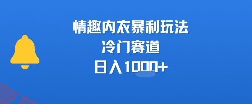 情趣内衣暴利玩法，冷门赛道，日入1k+-云享网创