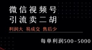 视频号卖二胡教程，利润大 易成交 售后少，一单利润5张+-云享网创