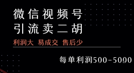 视频号卖二胡教程，利润大 易成交 售后少，一单利润5张+-云享网创