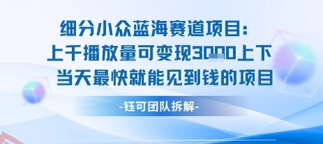 小众蓝海赛道项目：当天变现1k+适合新手操作 +适合长期玩-云享网创