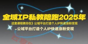 全域IP私教陪跑2025年，这套课程教你在​公域平台打造个人IP快速涨粉变现-云享网创