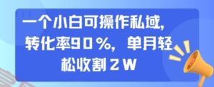 一个小白可操作私域，转化率90%，单月轻松收割2W-云享网创