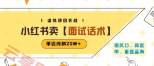 小红书虚拟项目掘金,卖面试话术资料,单店纯利20W+(附爆款笔记制作方法)-云享网创