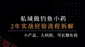 私域做钓鱼小药 每单利润3张+ 详细流程拆解-云享网创