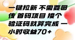 一键拉新 不需要回传 首码项目 接个验证码就算完成 一小时收益70+【揭秘】-云享网创
